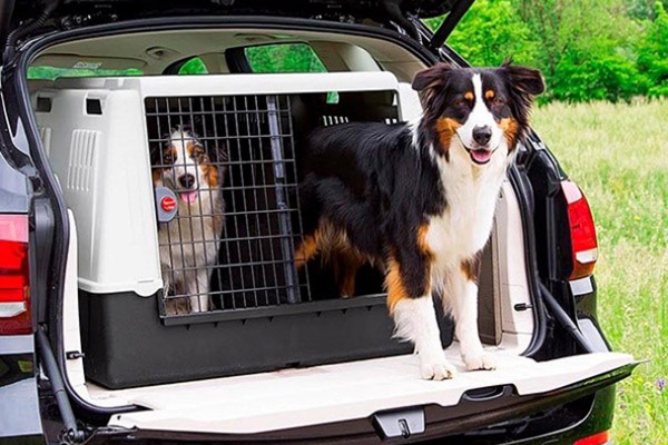 Transportin para perros